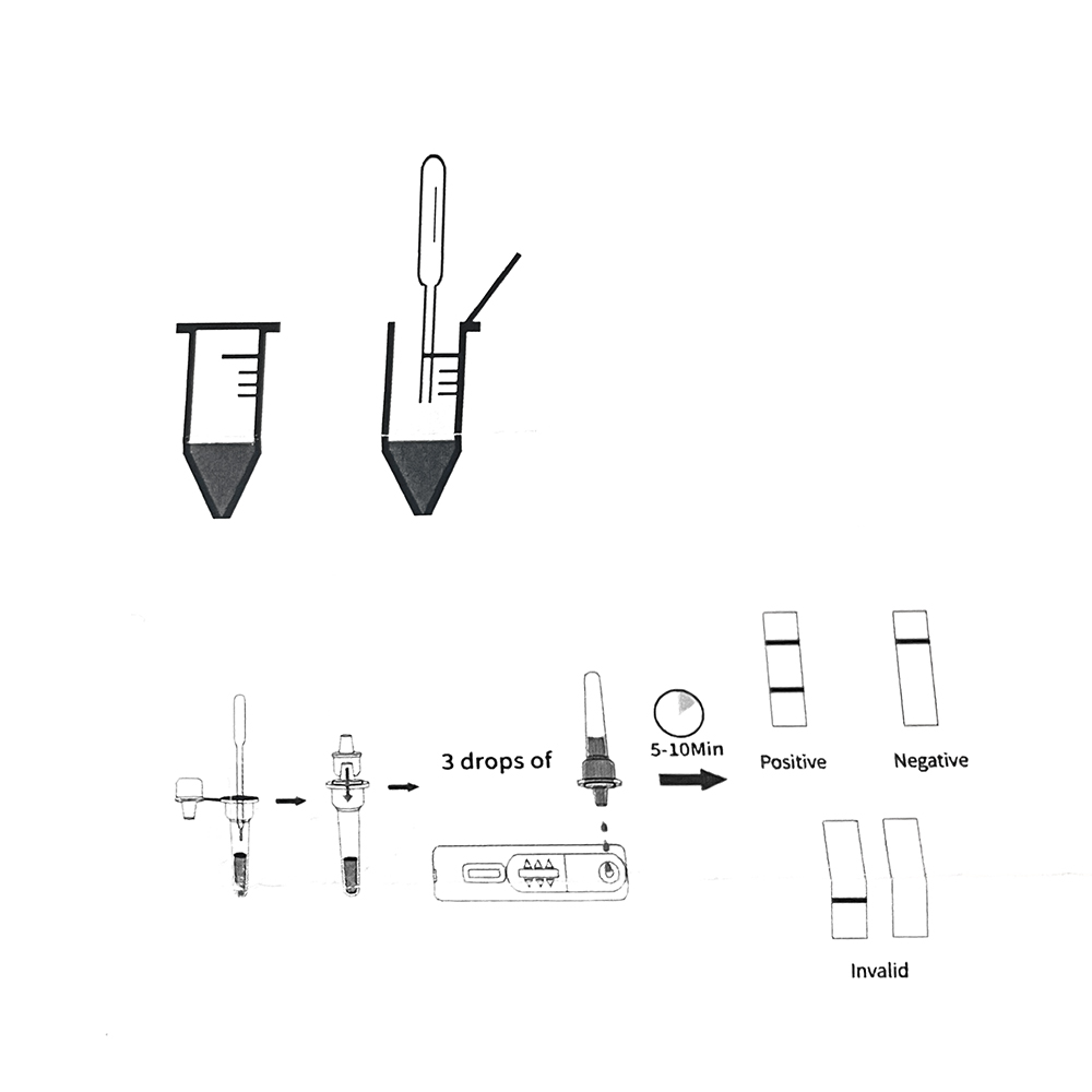 ชุดทดสอบการตั้งครรภ์สุนัขสัตว์ - Urine Analyzer Strip บทวิจารณ์และราคา